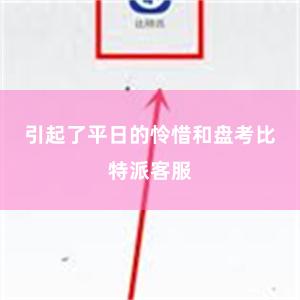 引起了平日的怜惜和盘考比特派客服